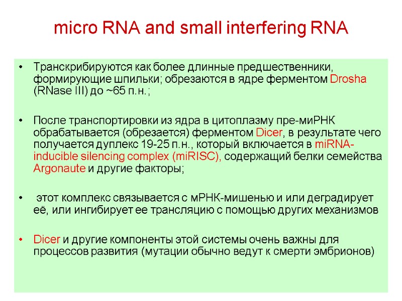 micro RNA and small interfering RNA Транскрибируются как более длинные предшественники, формирующие шпильки; обрезаются